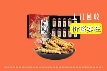 佳木斯抚远市回收冬虫夏草
